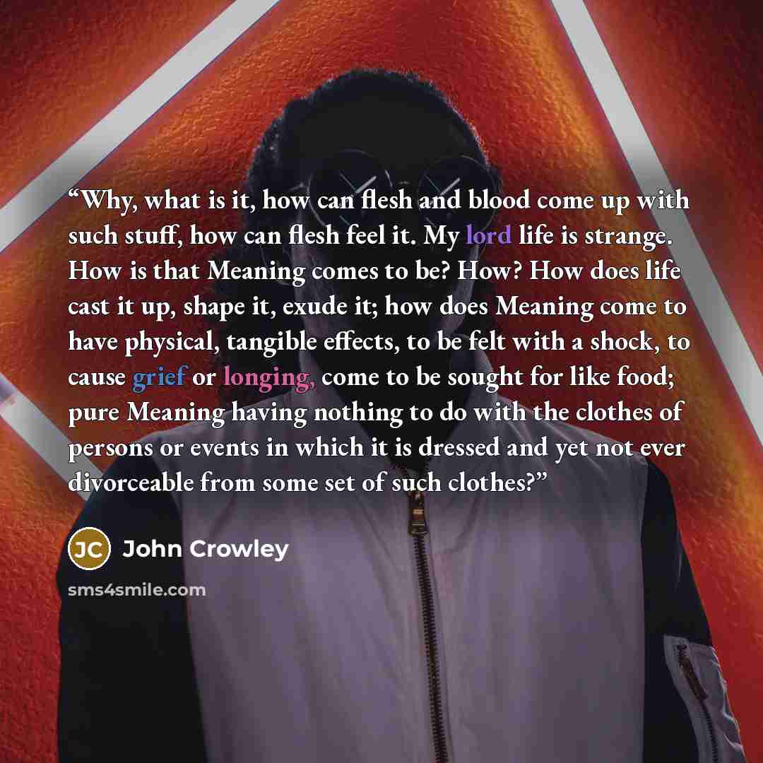 “Why, what is it, how can flesh and blood come up with such stuff, how can flesh feel it. My lord life is strange. How is that Meaning comes to be? How? How does life cast it up, shape it, exude it; how does Meaning come to have physical, tangible effects, to be felt with a shock, to cause grief or…” quote by John Crowley