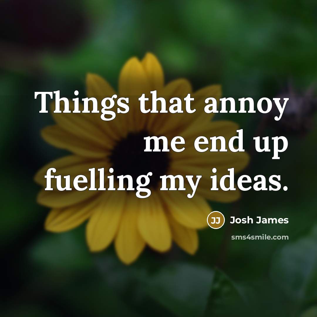 “Things that annoy me end up fuelling my ideas.…” quote by Josh James