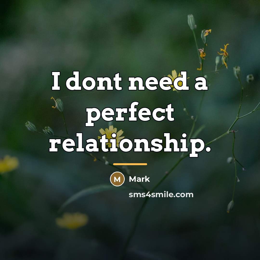 “I dont need a perfect relationship.…” quote by Mark