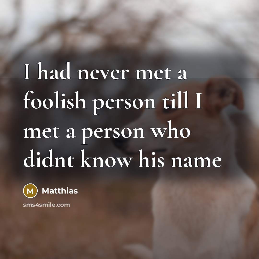 “I had never met a foolish person till I met a person who didnt know his name” quote by Matthias
