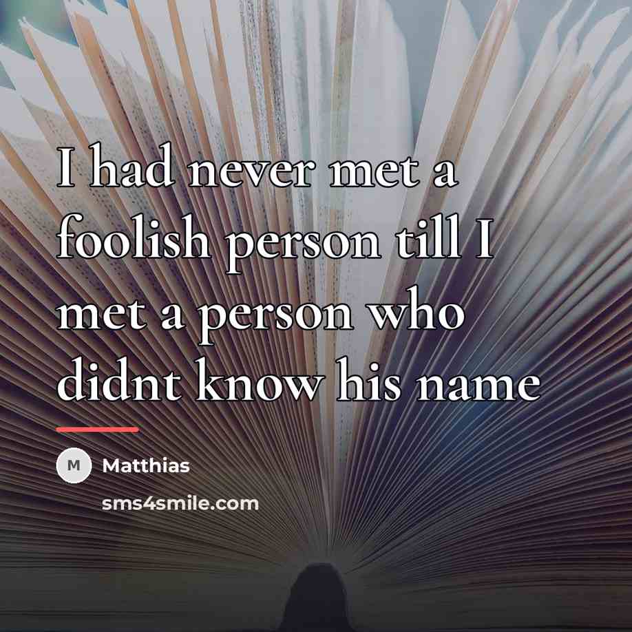 “I had never met a foolish person till I met…” quote by Matthias