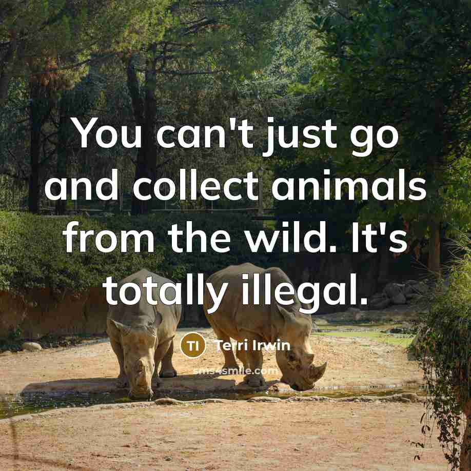“You can't just go and collect animals from the wild.…” quote by Terri Irwin
