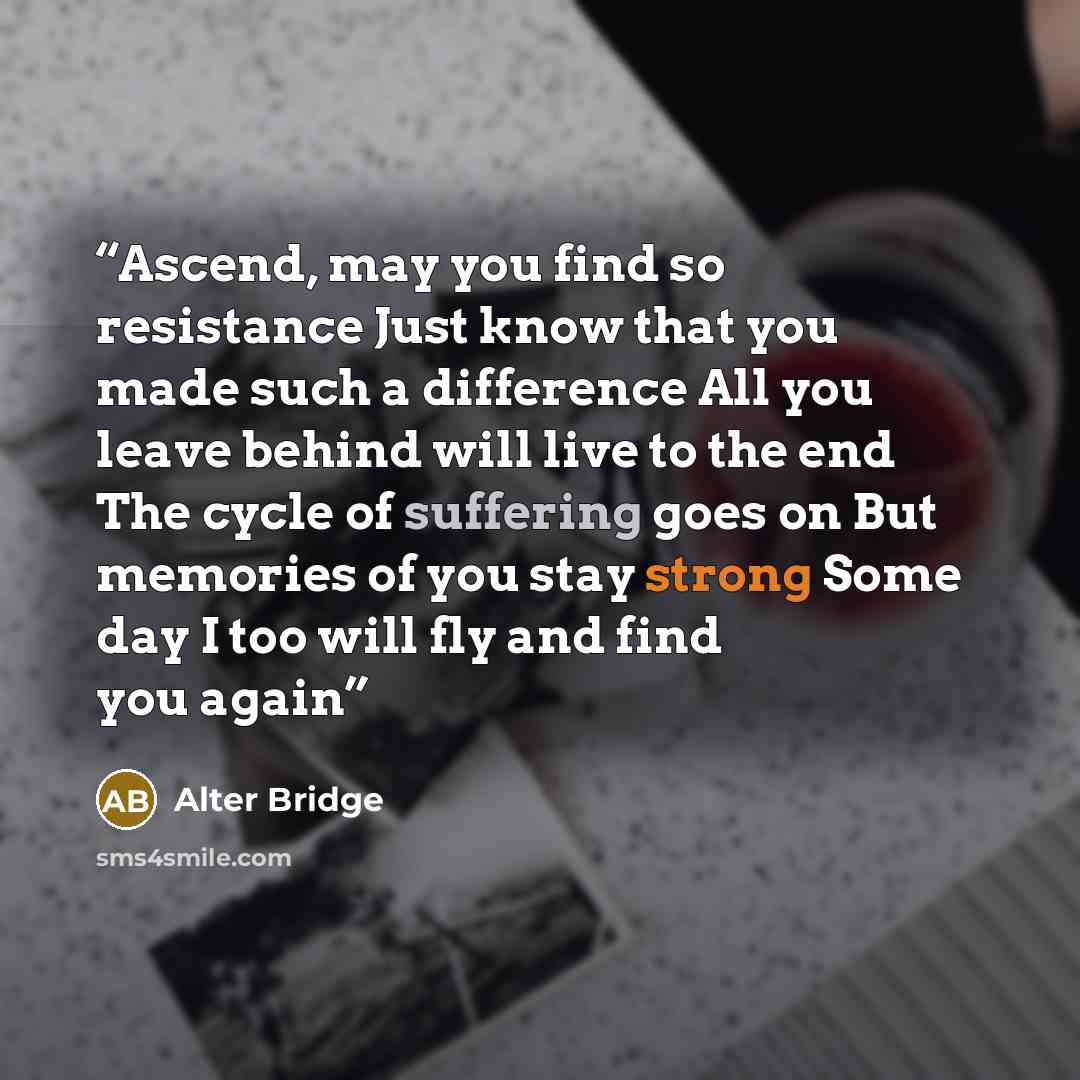 “Ascend, may you find so resistance Just know that you made such a difference All you leave behind will live to the end The cycle of suffering goes on But memories of you stay strong Some day I too will fly and find you again” quote by Alter Bridge