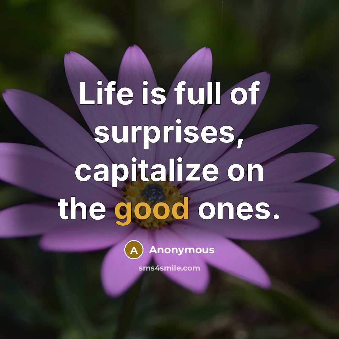 “Life is full of surprises, capitalize on the good ones.…” quote by Anonymous