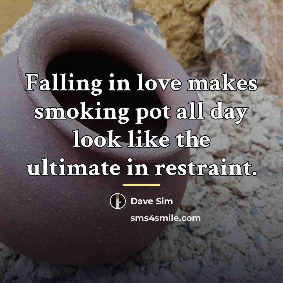 “Falling in love makes smoking pot all day look like…” quote by Dave Sim
