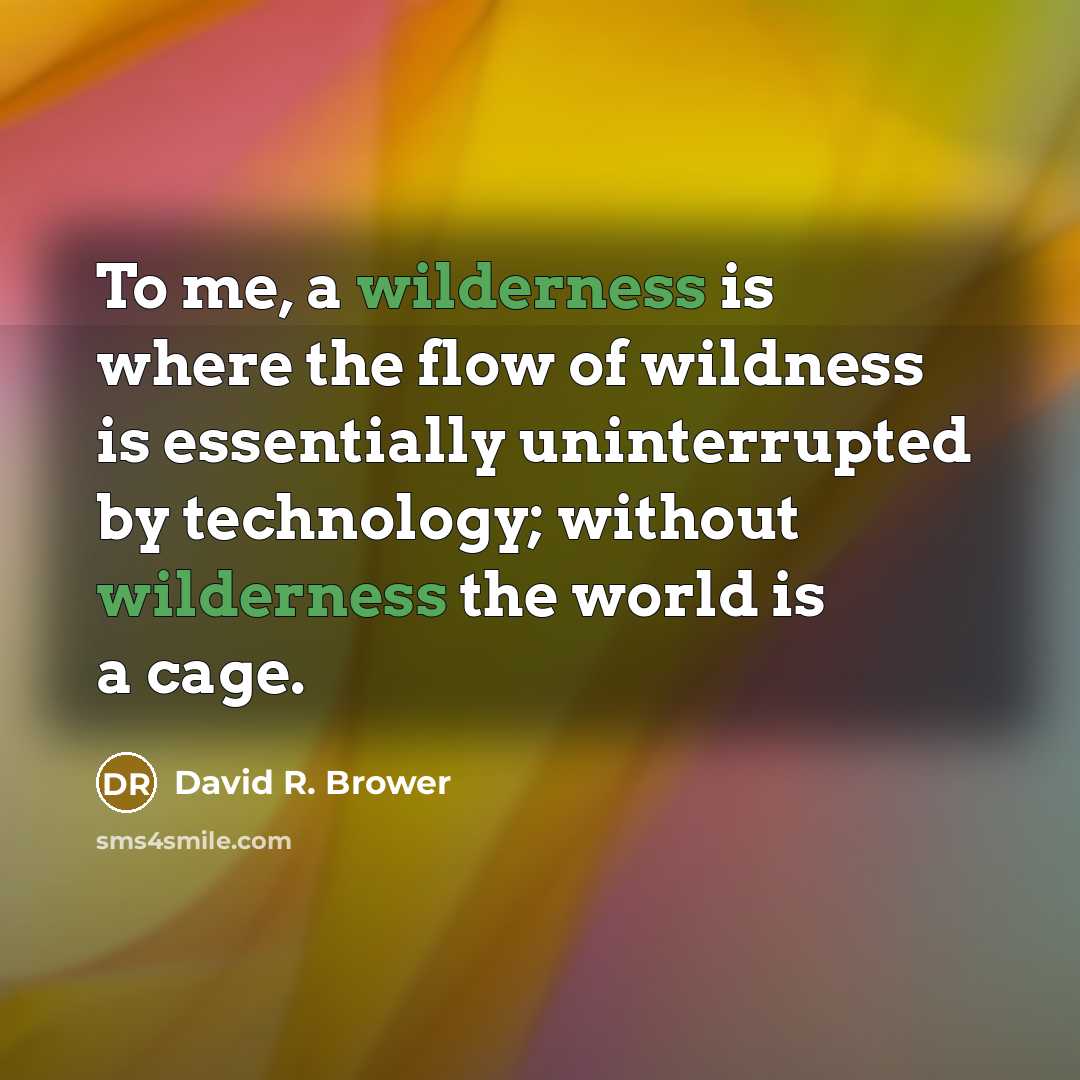 “To me, a wilderness is where the flow of wildness…” quote by David R. Brower