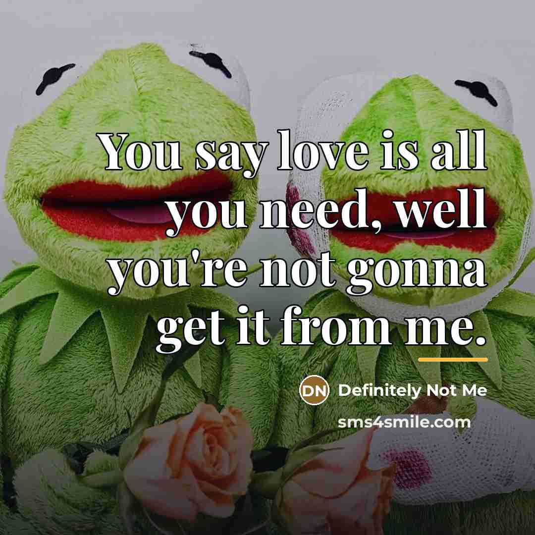 “You say love is all you need, well you're not…” quote by Definitely Not Me