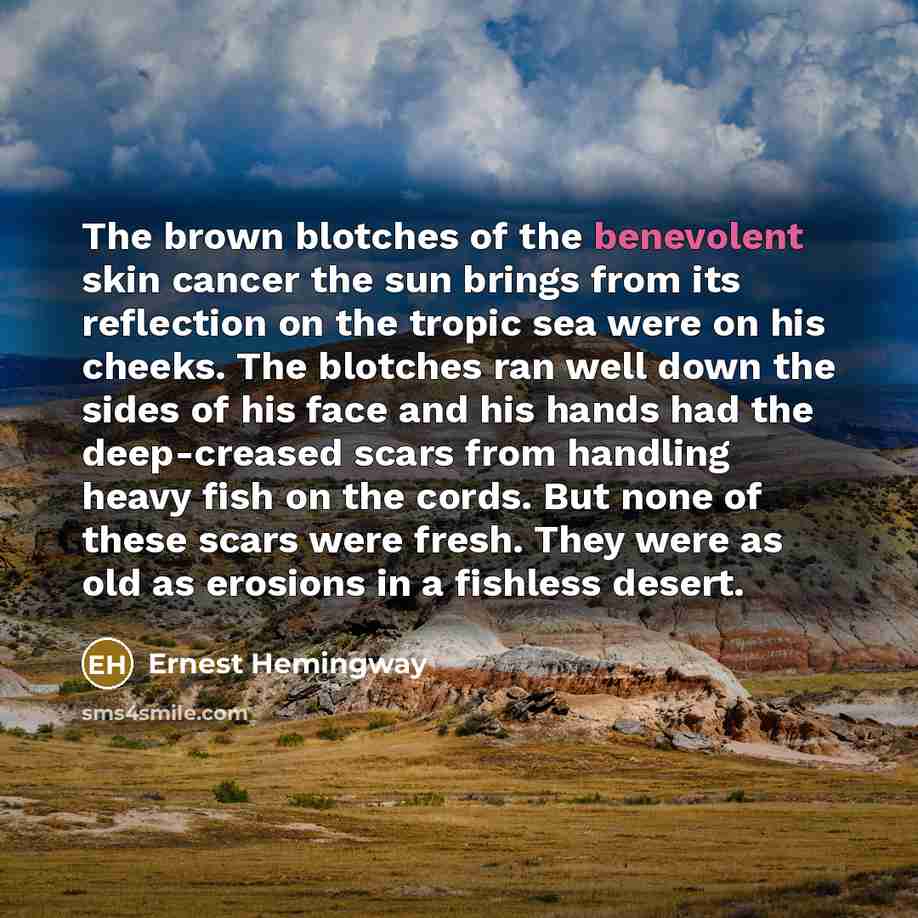 “The brown blotches of the benevolent skin cancer the sun…” quote by Ernest Hemingway