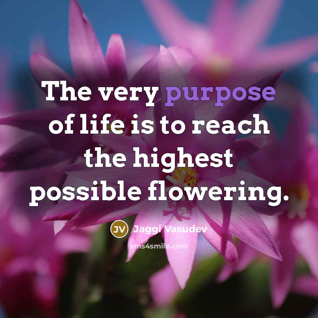 “The very purpose of life is to reach the highest…” quote by Jaggi Vasudev