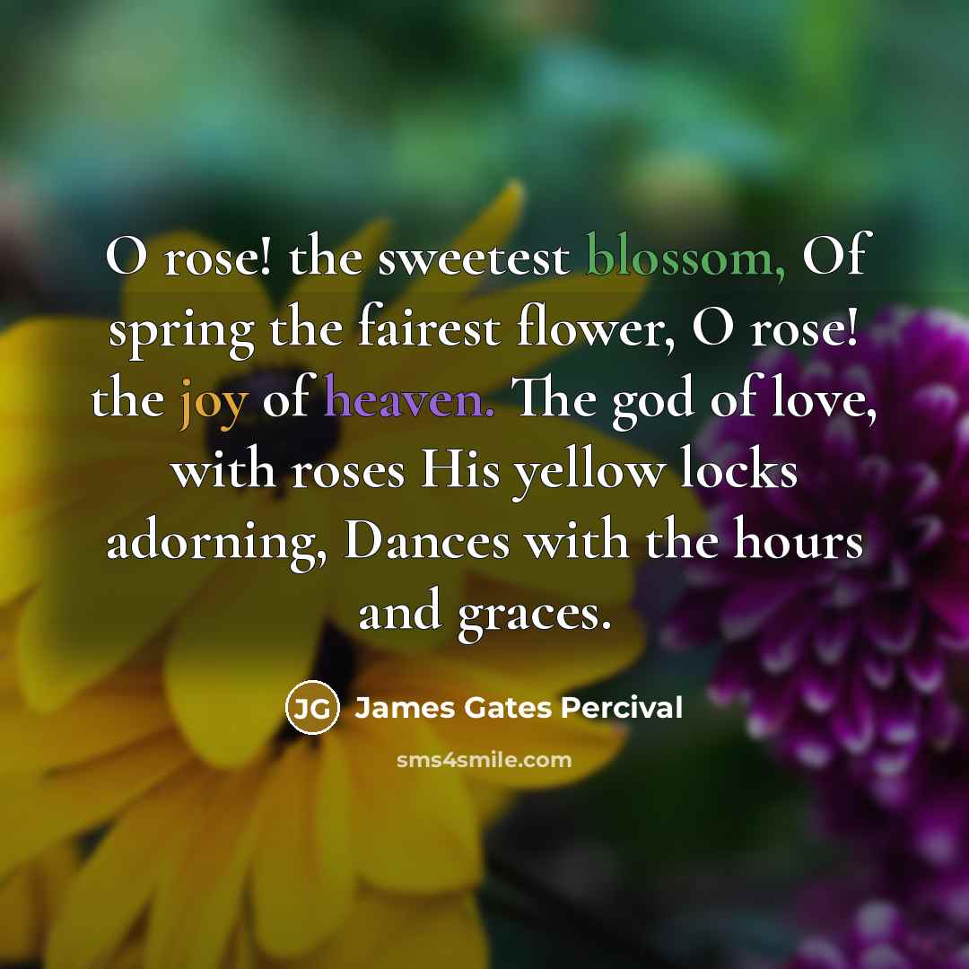 “O rose! the sweetest blossom, Of spring the fairest flower,…” quote by James Gates Percival