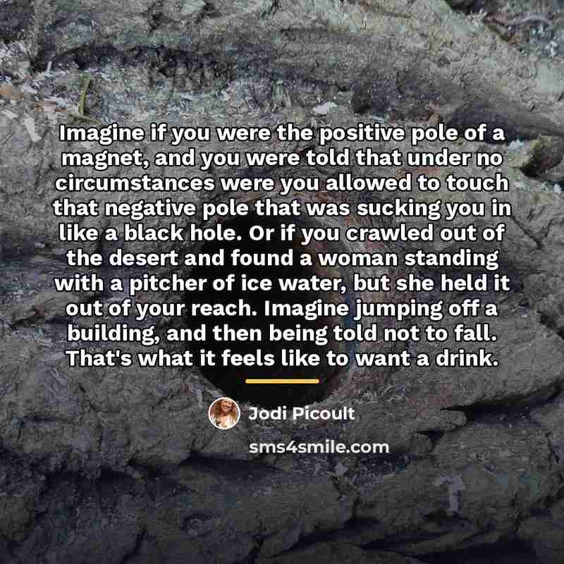 “Imagine if you were the positive pole of a magnet,…” quote by Jodi Picoult