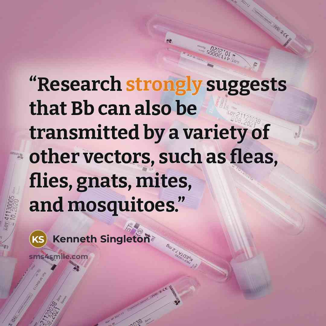 “Research strongly suggests that Bb can also be transmitted by a variety of other vectors, such as fleas, flies, gnats, mites, and mosquitoes.” quote by Kenneth Singleton