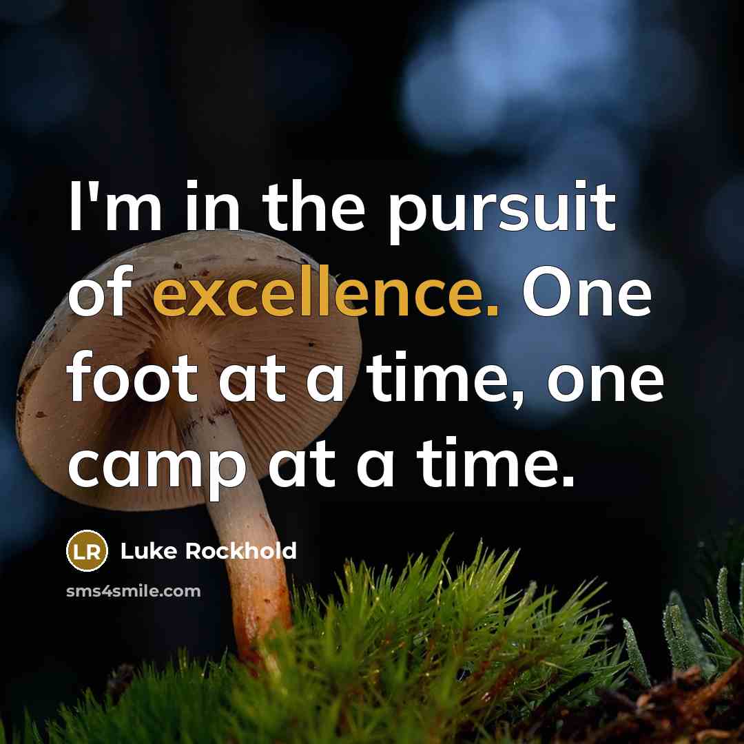 “I'm in the pursuit of excellence. One foot at a…” quote by Luke Rockhold