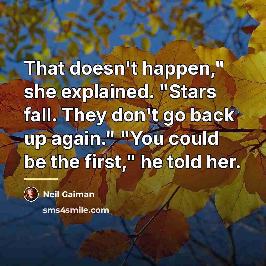 “That doesn't happen," she explained. "Stars fall. They don't go…” quote by Neil Gaiman