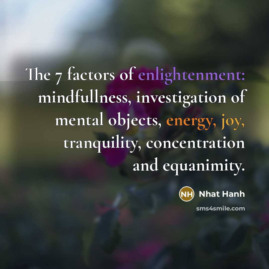 “The 7 factors of enlightenment: mindfullness, investigation of mental objects,…” quote by Nhat Hanh