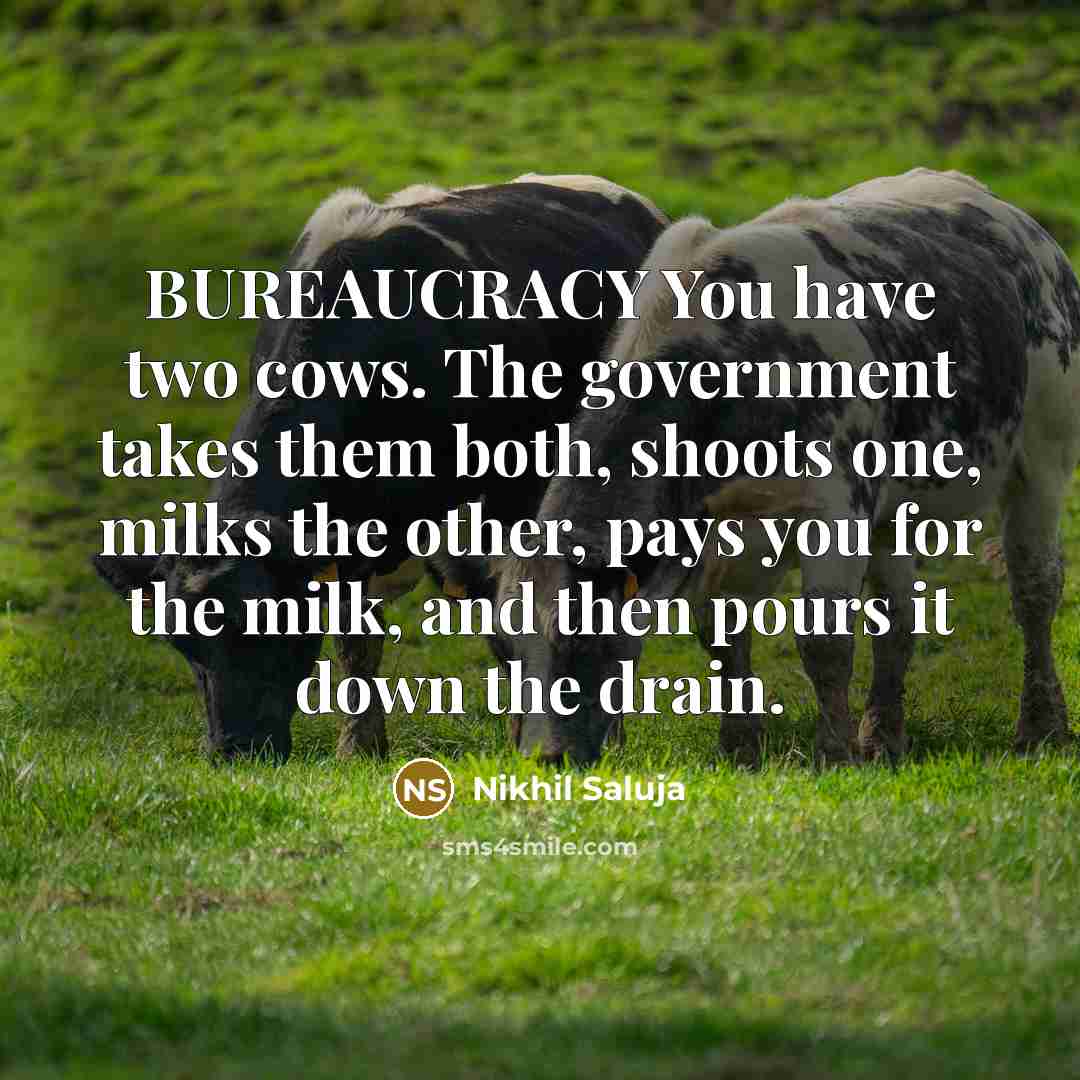“BUREAUCRACY You have two cows. The government takes them both,…” quote by Nikhil Saluja