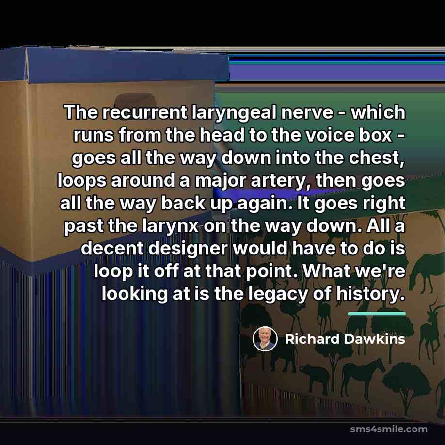“The recurrent laryngeal nerve - which runs from the head…” quote by Richard Dawkins