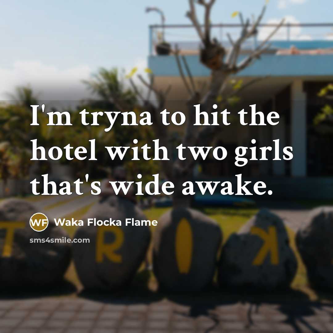 “I'm tryna to hit the hotel with two girls that's wide awake.” quote by Waka Flocka Flame