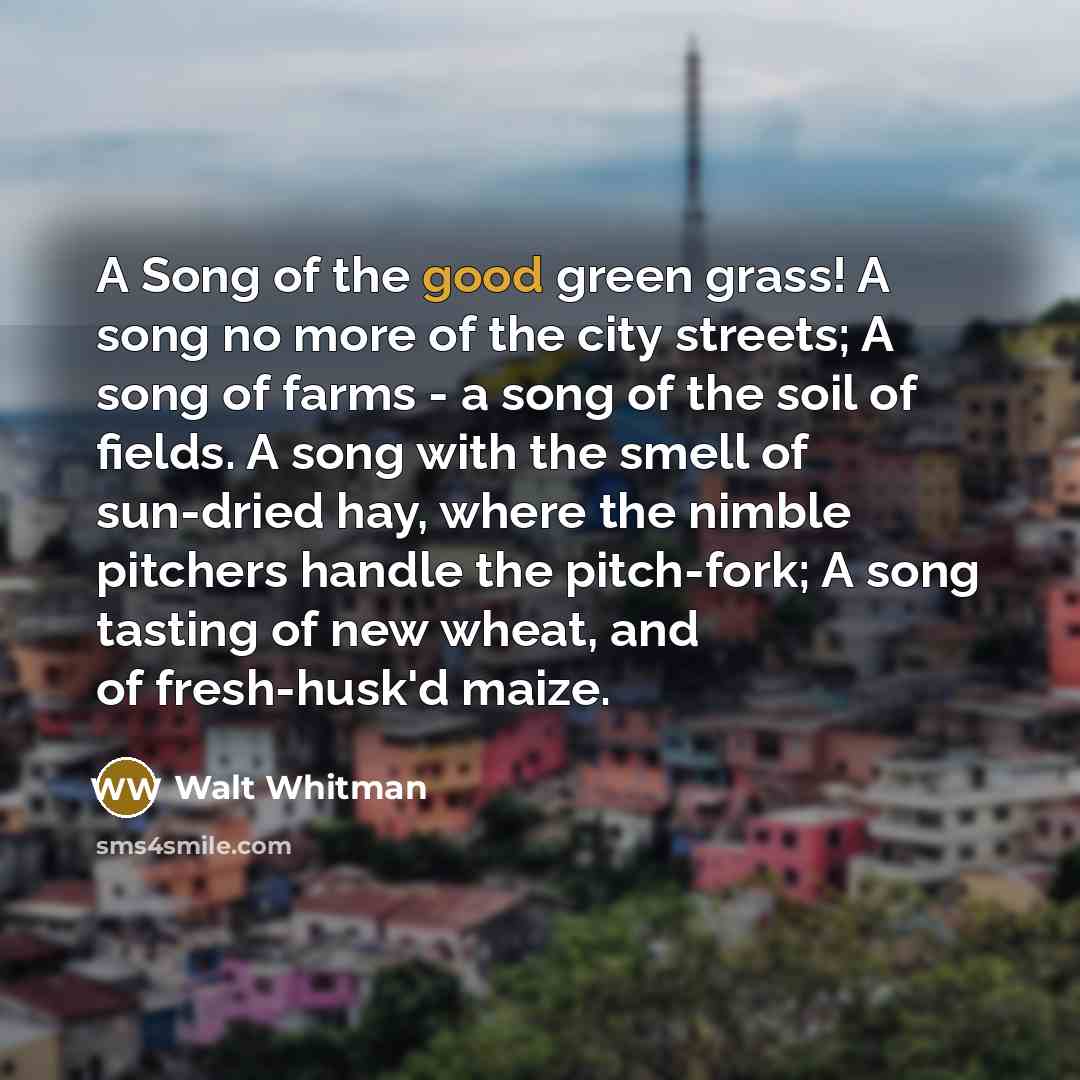 “A Song of the good green grass! A song no…” quote by Walt Whitman