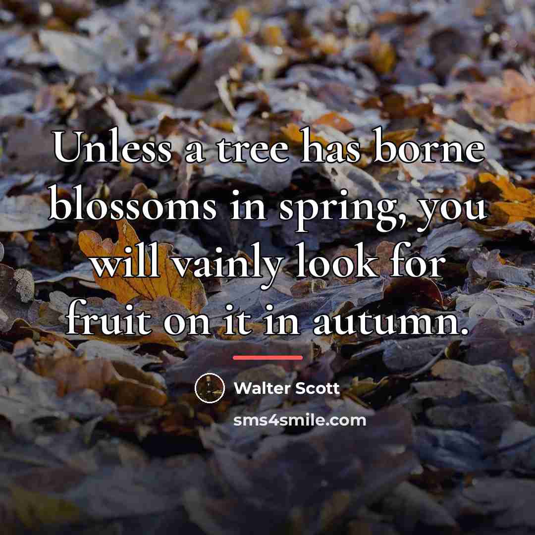 “Unless a tree has borne blossoms in spring, you will…” quote by Walter Scott