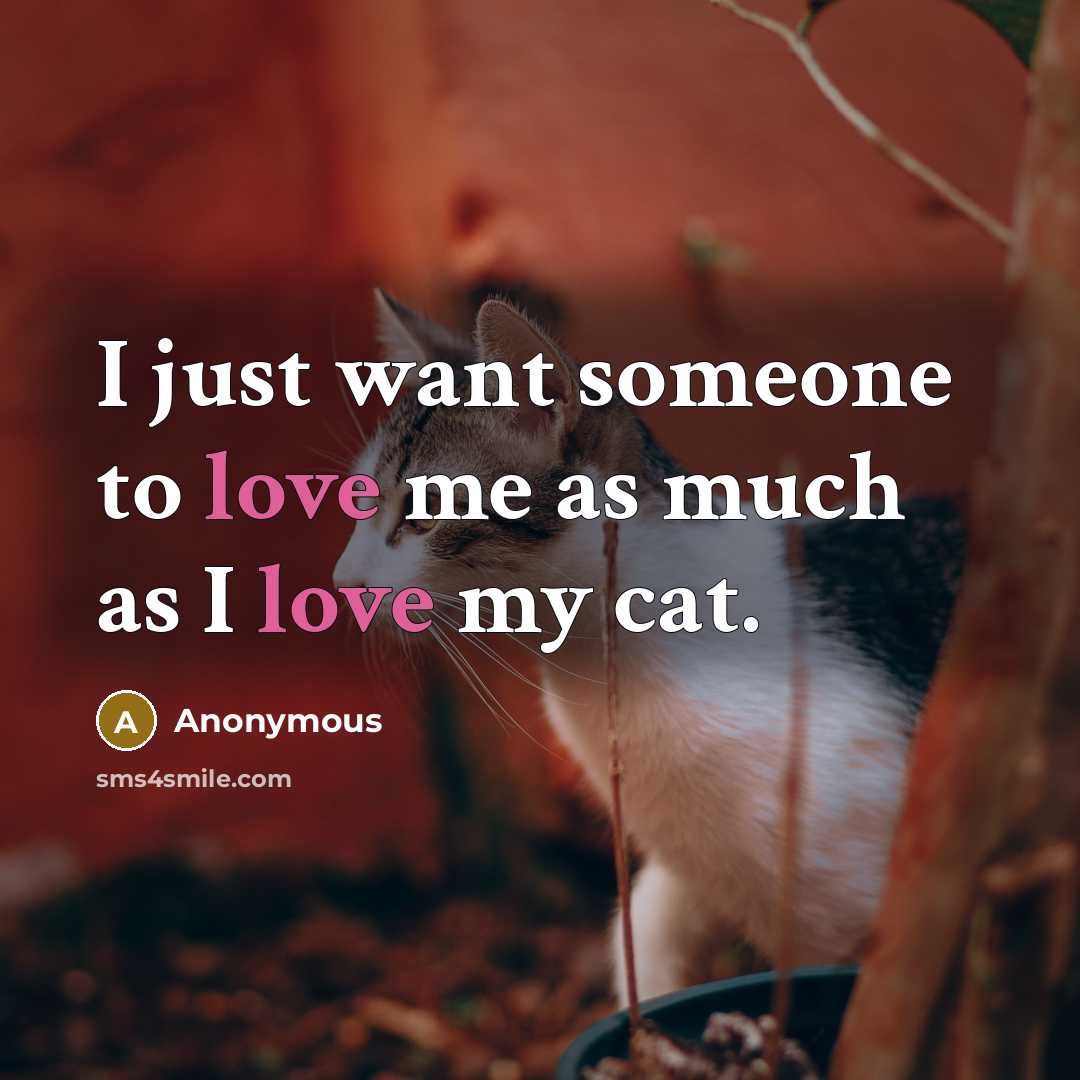 “I just want someone to love me as much as I love my cat.” quote by Anonymous