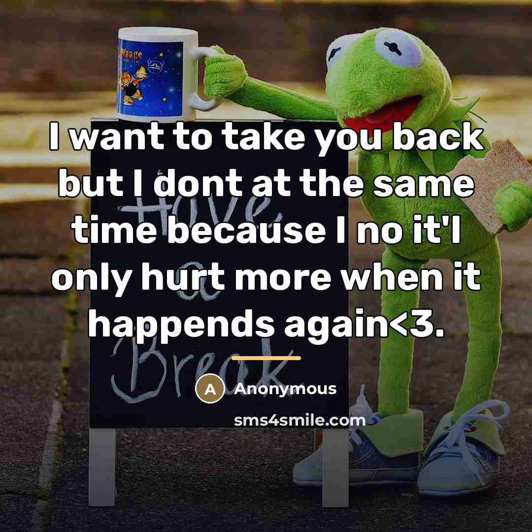 “I want to take you back but I dont at…” quote by Anonymous