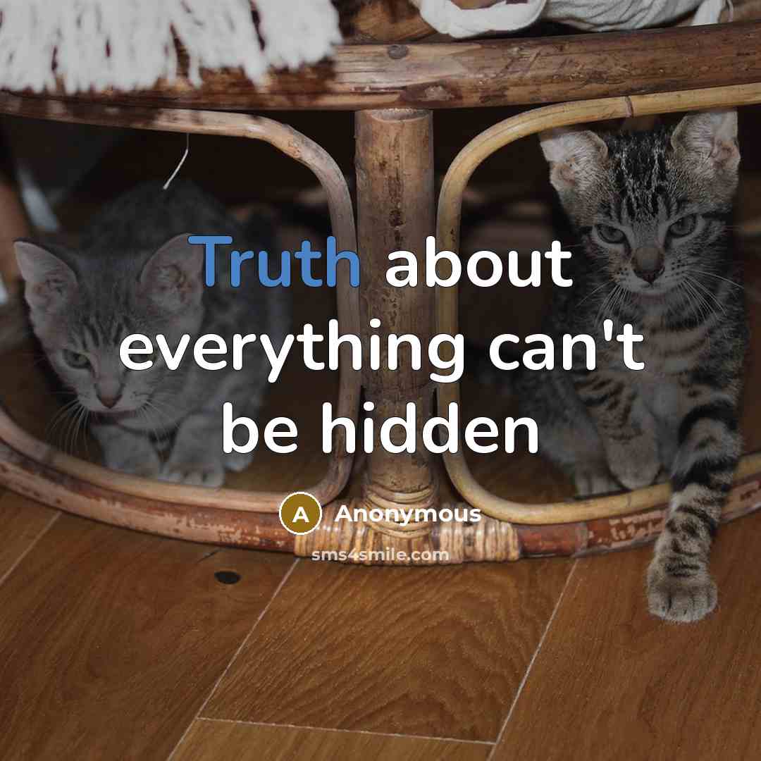 “Truth about everything can't be hidden” quote by Anonymous