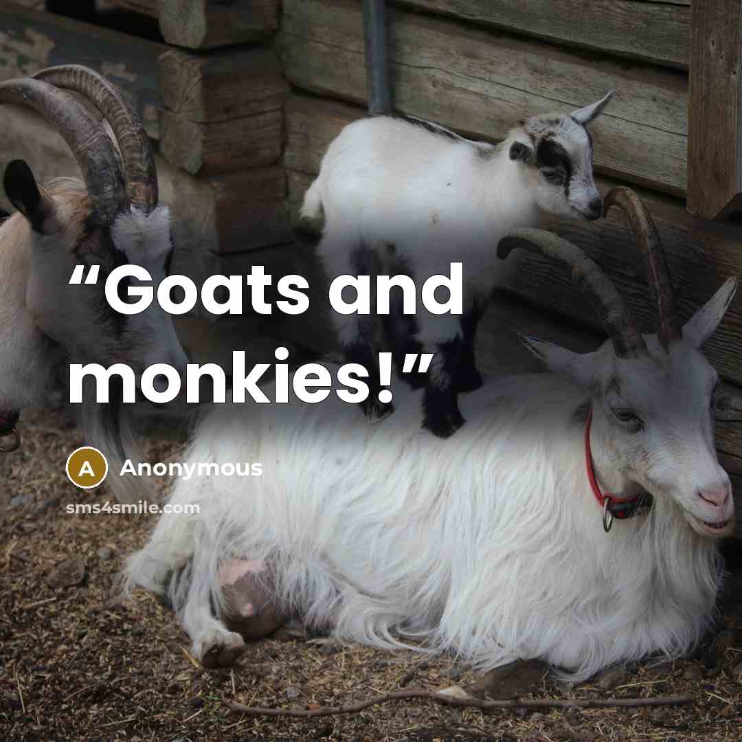 “Goats and monkies!” quote by Anonymous