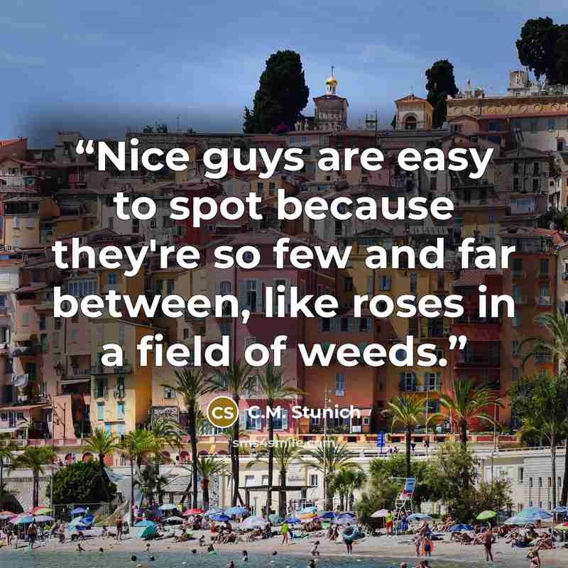 “Nice guys are easy to spot because they're so few and far between, like roses in a field of weeds.” quote by C.M. Stunich