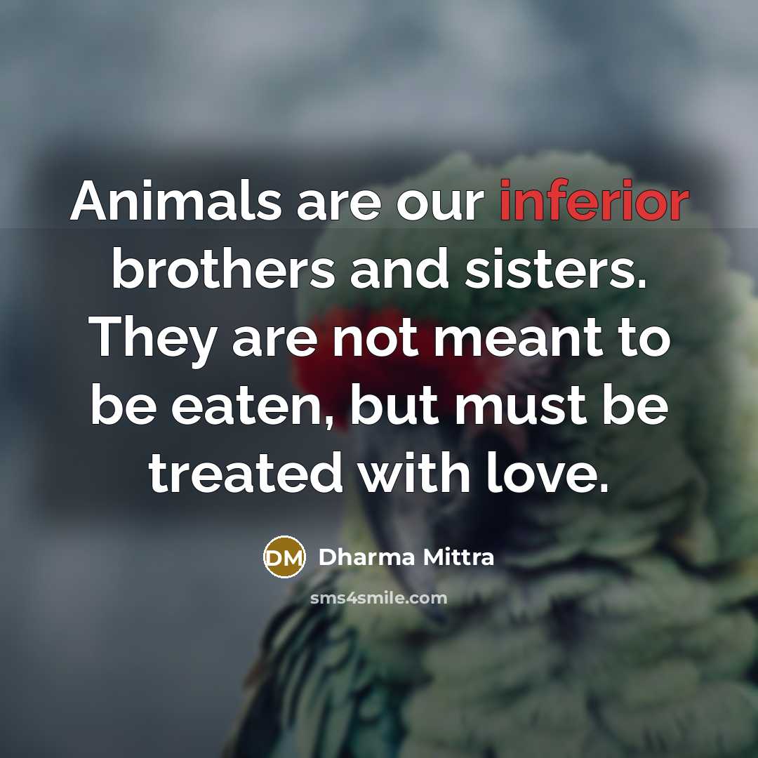 “Animals are our inferior brothers and sisters. They are not…” quote by Dharma Mittra