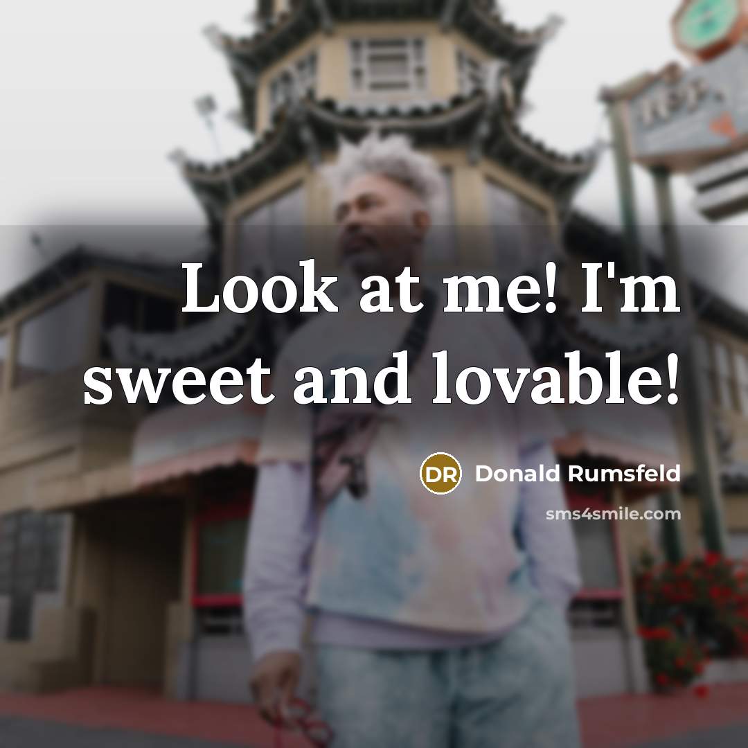 “Look at me! I'm sweet and lovable!…” quote by Donald Rumsfeld