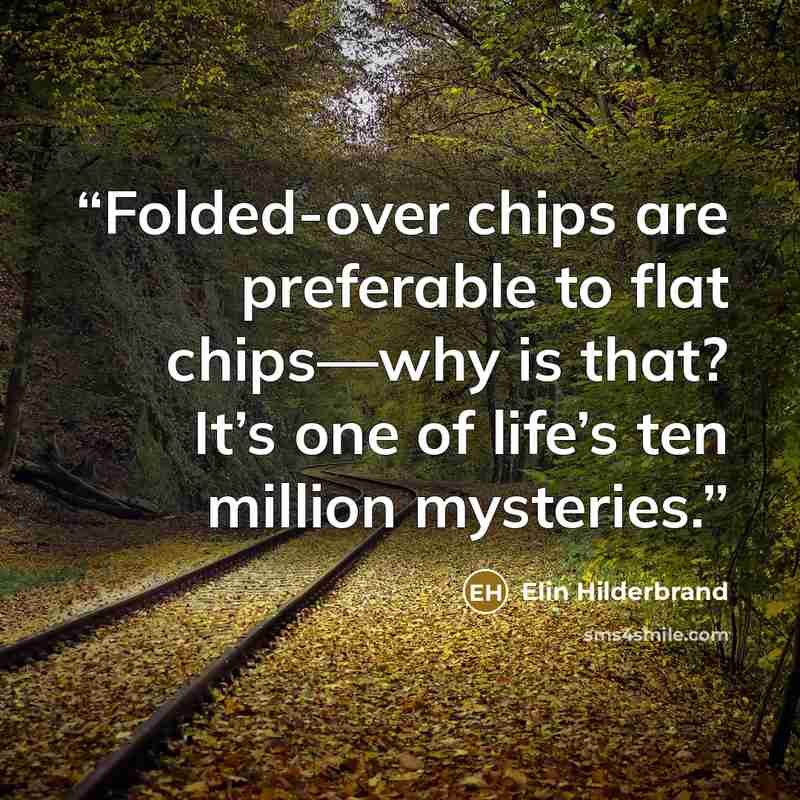 “Folded-over chips are preferable to flat chips—why is that? It’s one of life’s ten million mysteries.” quote by Elin Hilderbrand