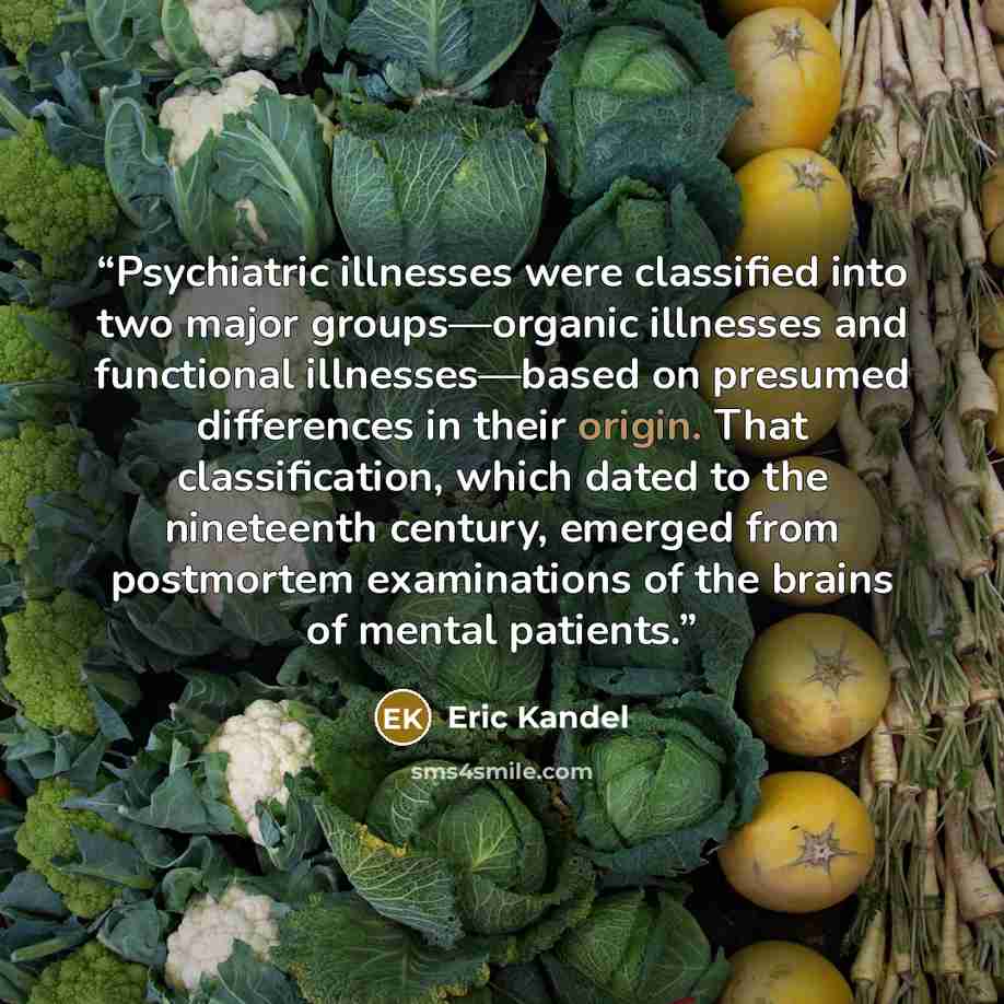 “Psychiatric illnesses were classified into two major groups—organic illnesses and functional illnesses—based on presumed differences in their origin. That classification, which dated to the nineteenth century, emerged from postmortem examinations of the brains of mental patients.” quote by Eric Kandel