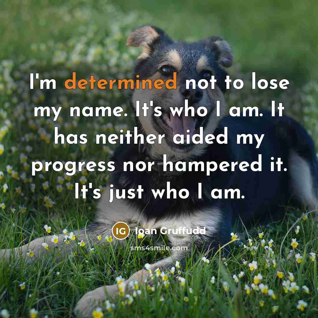 “I'm determined not to lose my name. It's who I…” quote by Ioan Gruffudd