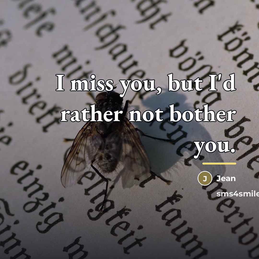 “I miss you, but I'd rather not bother you.…” quote by Jean