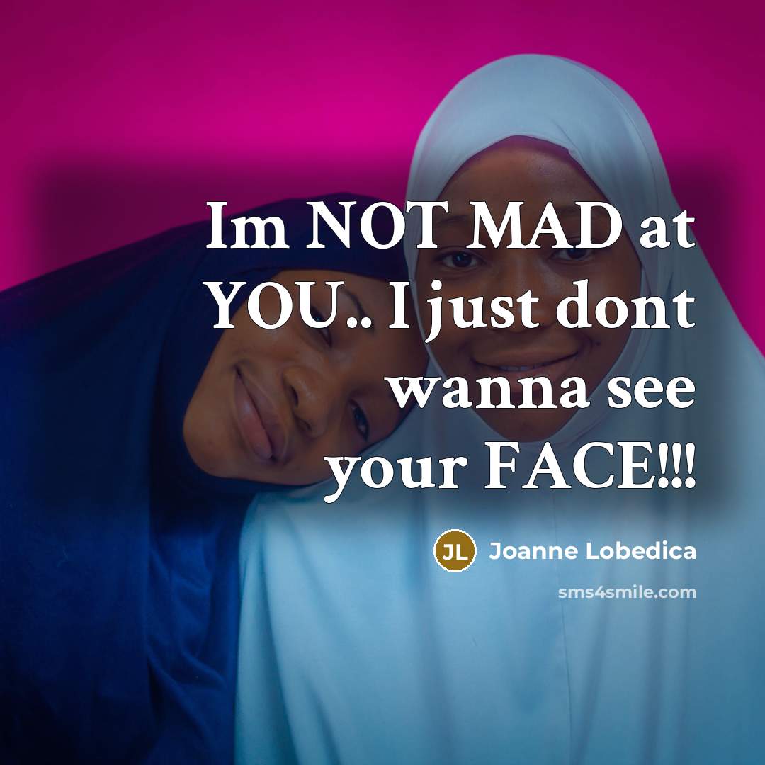 “Im NOT MAD at YOU.. I just dont wanna see…” quote by Joanne Lobedica
