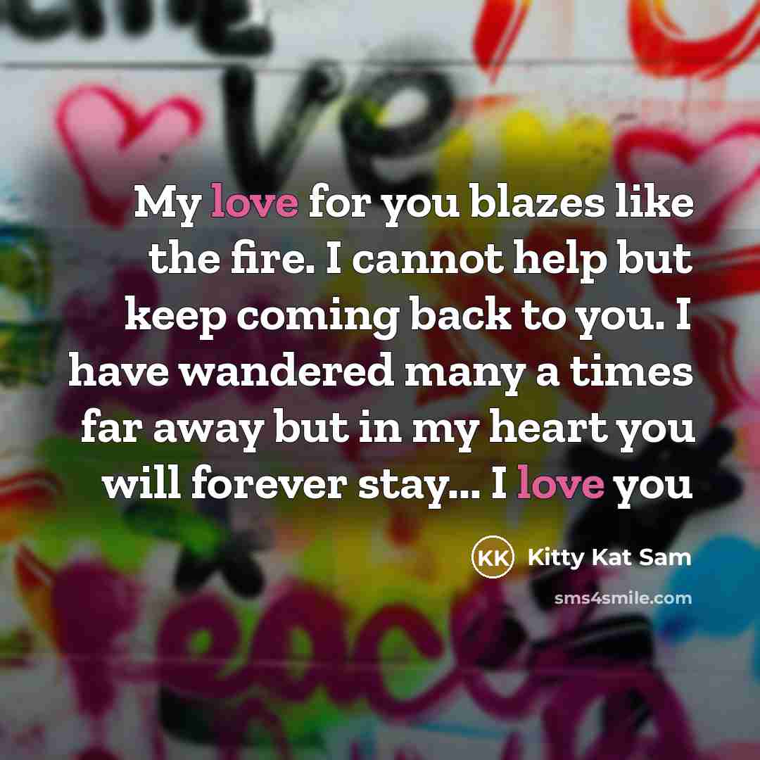 “My love for you blazes like the fire. I cannot…” quote by Kitty Kat Sam