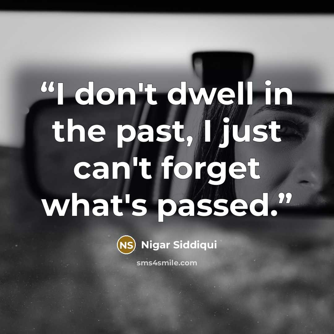 “I don't dwell in the past, I just can't forget what's passed.” quote by Nigar Siddiqui