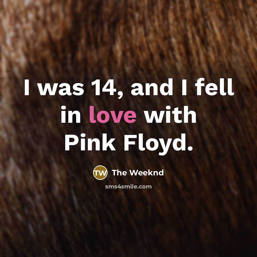 “I was 14, and I fell in love with Pink…” quote by The Weeknd