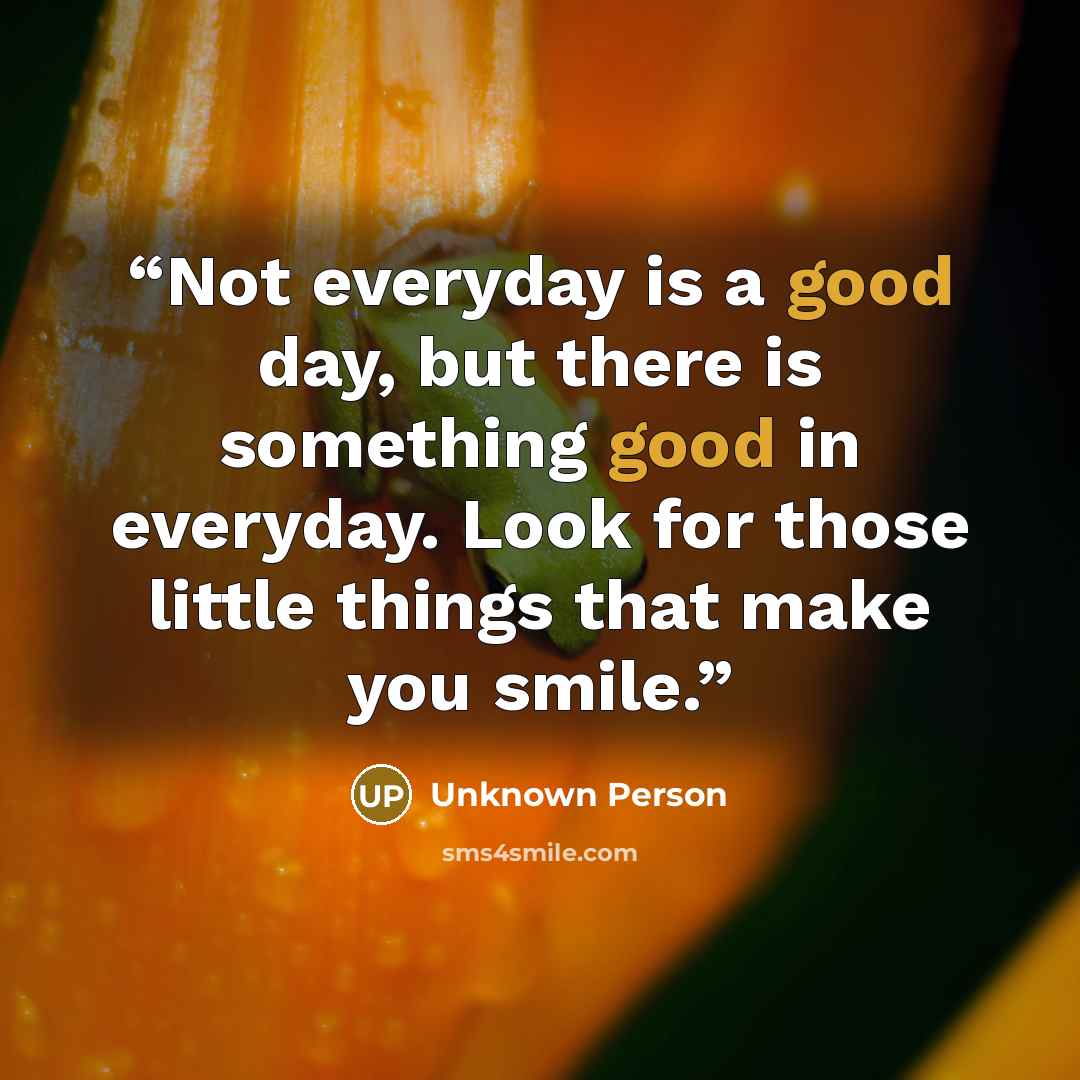 “Not everyday is a good day, but there is something good in everyday. Look for those little things that make you smile.” quote by Unknown Person