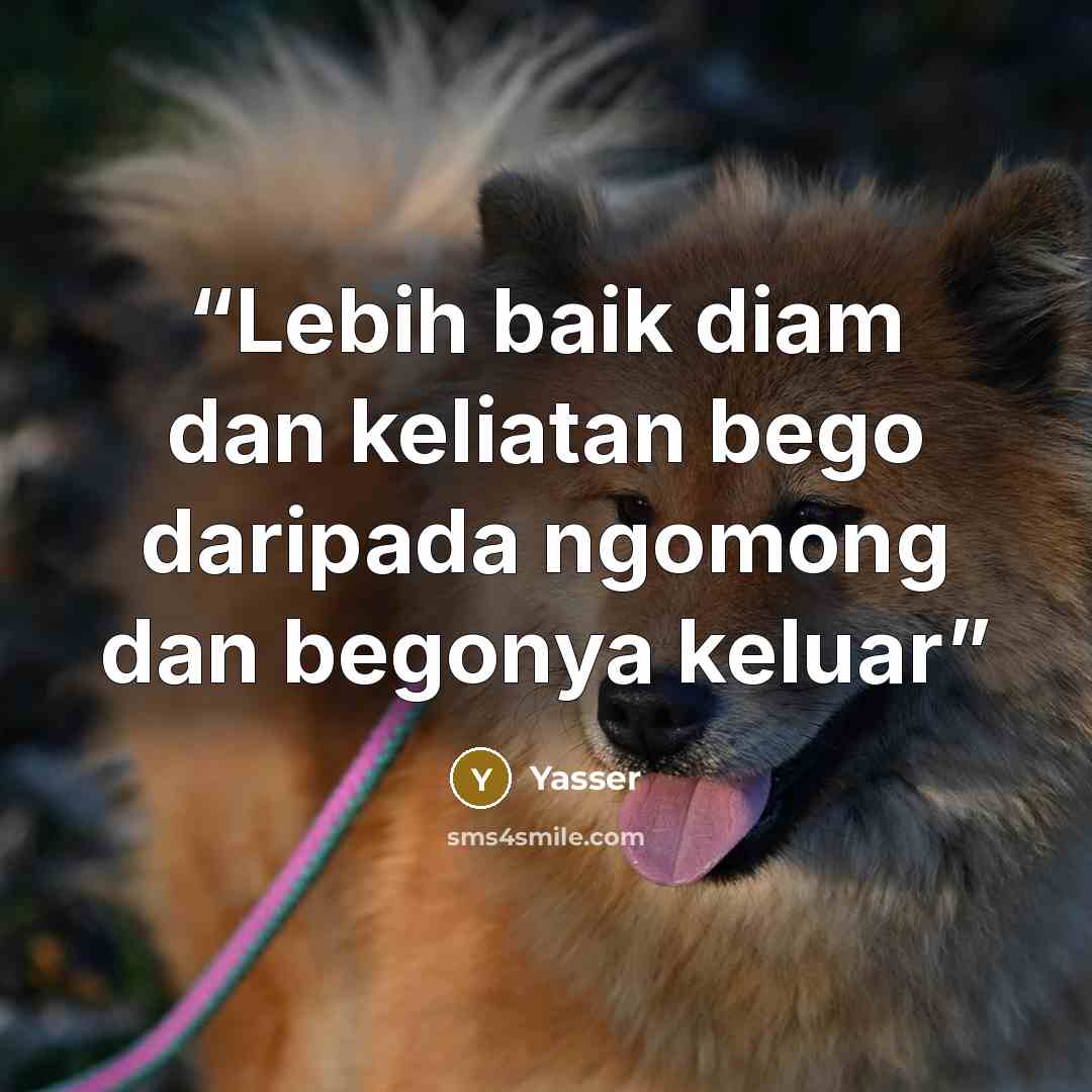 “Lebih baik diam dan keliatan bego daripada ngomong dan begonya keluar” quote by Yasser