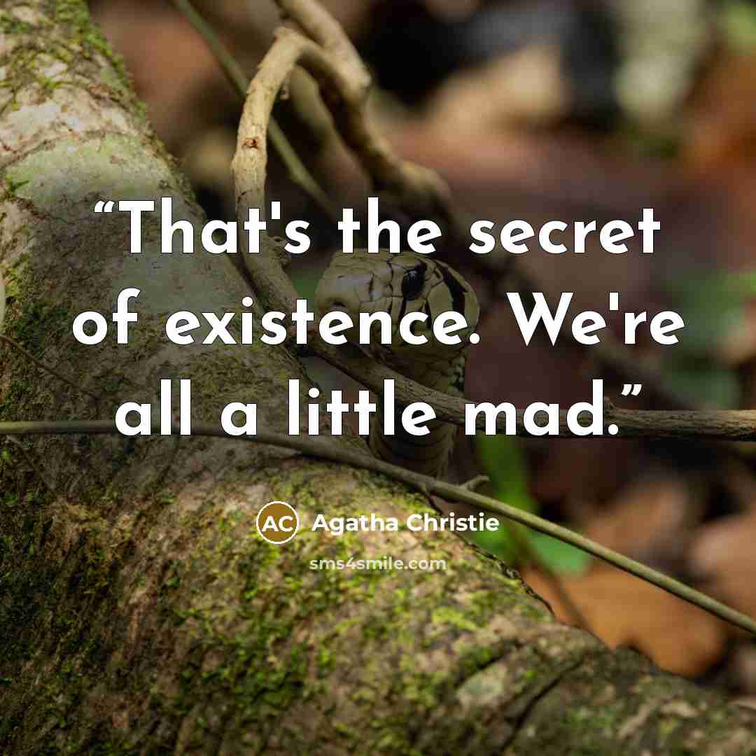 “That's the secret of existence. We're all a little mad.” quote by Agatha Christie