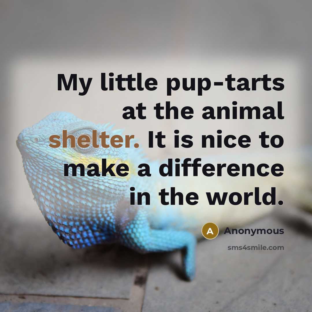 “My little pup-tarts at the animal shelter. It is nice…” quote by Anonymous