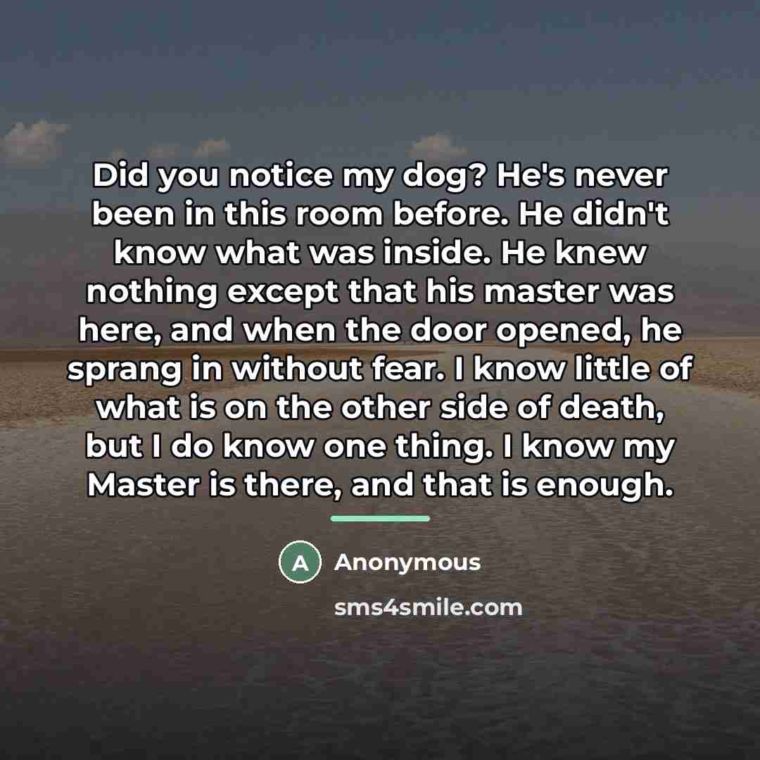 “Did you notice my dog? He's never been in this…” quote by Anonymous