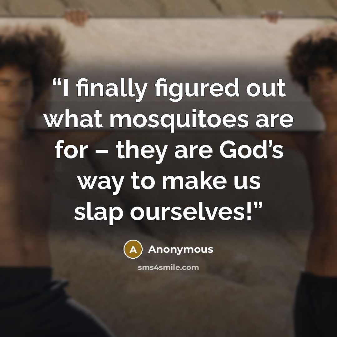 “I finally figured out what mosquitoes are for – they are God’s way to make us slap ourselves!” quote by Anonymous