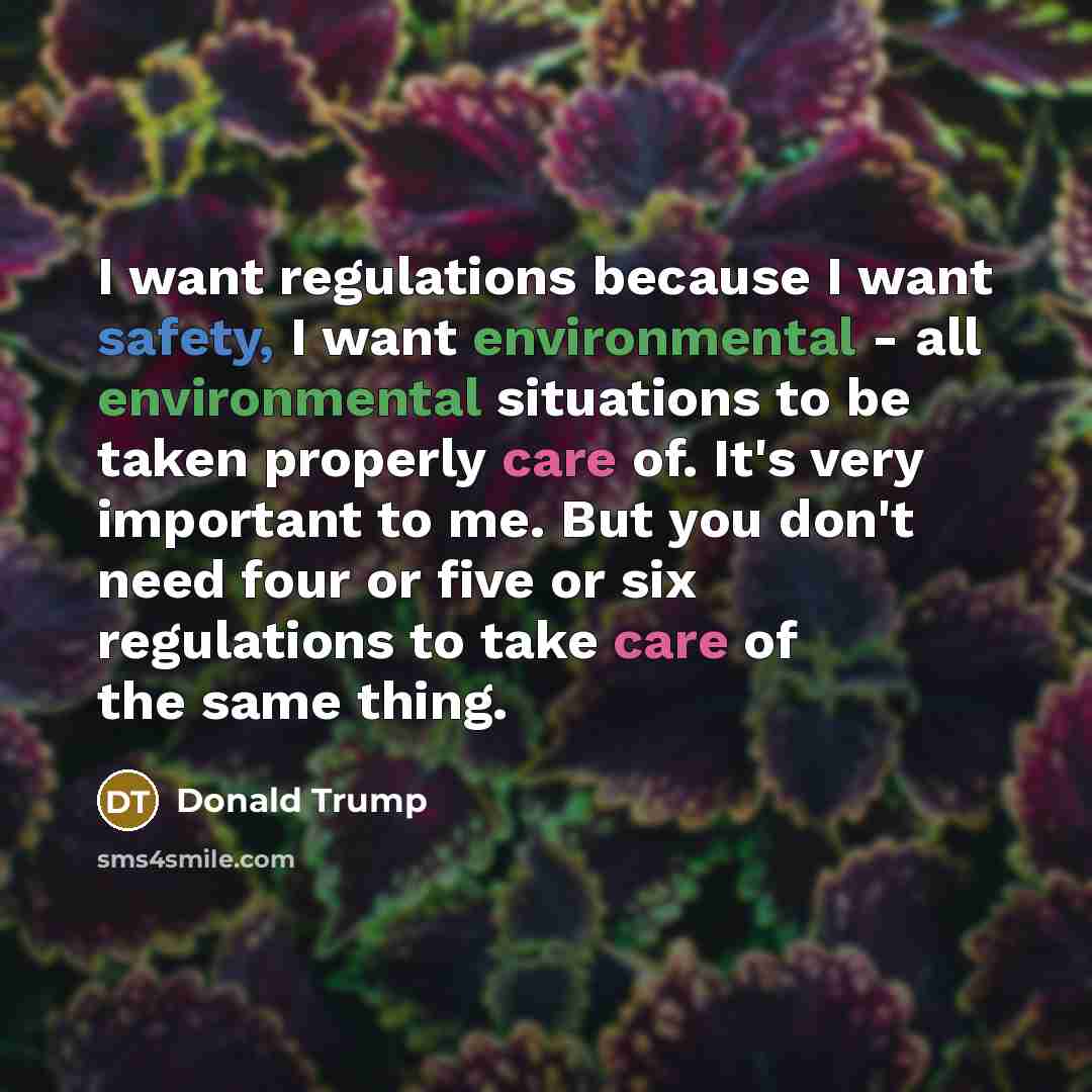 “I want regulations because I want safety, I want environmental…” quote by Donald Trump
