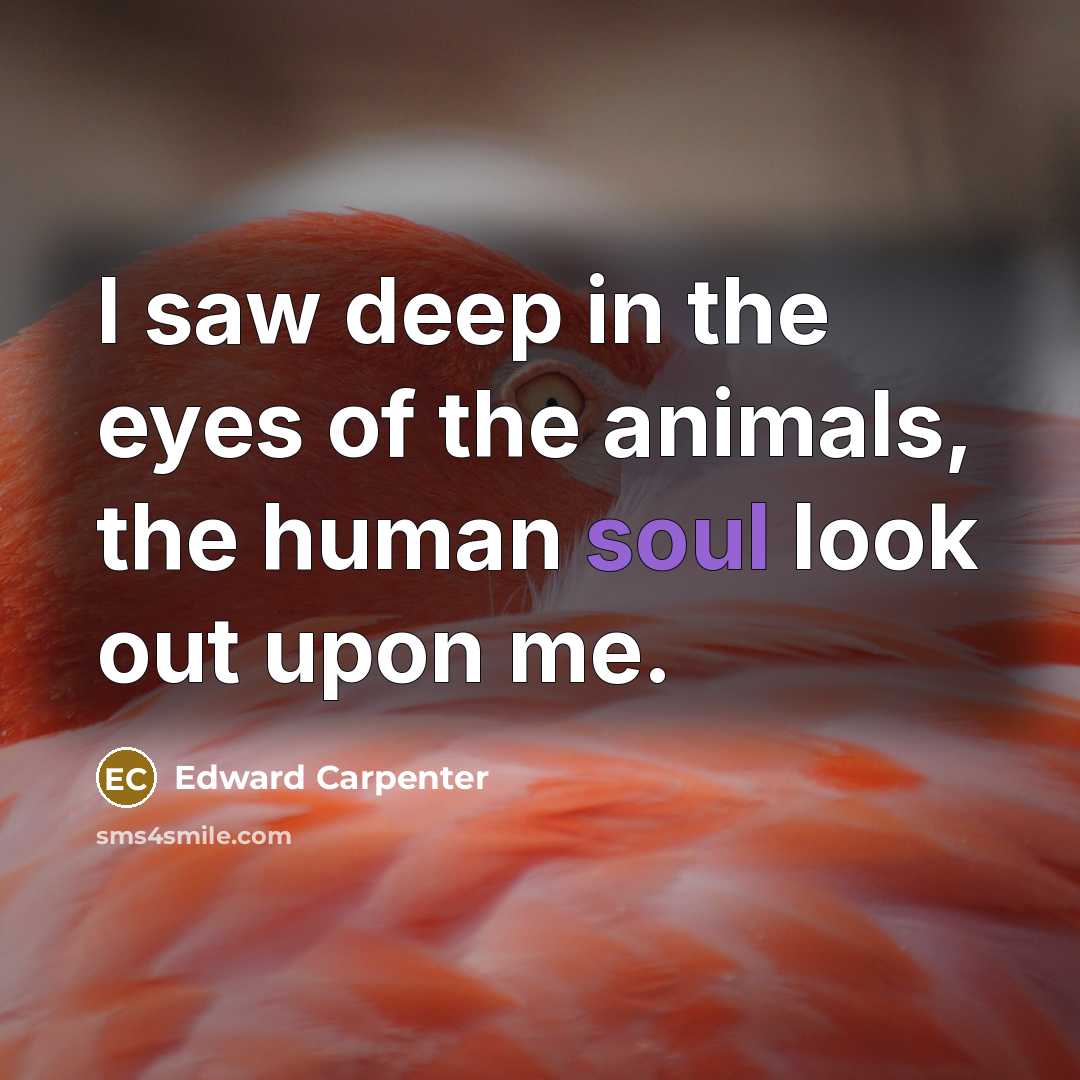 “I saw deep in the eyes of the animals, the…” quote by Edward Carpenter