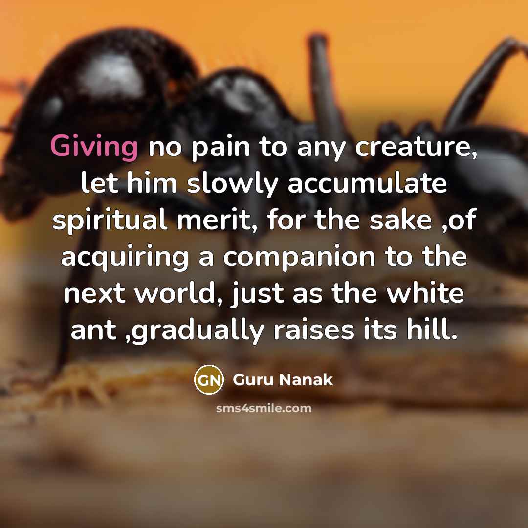 “Giving no pain to any creature, let him slowly accumulate…” quote by Guru Nanak