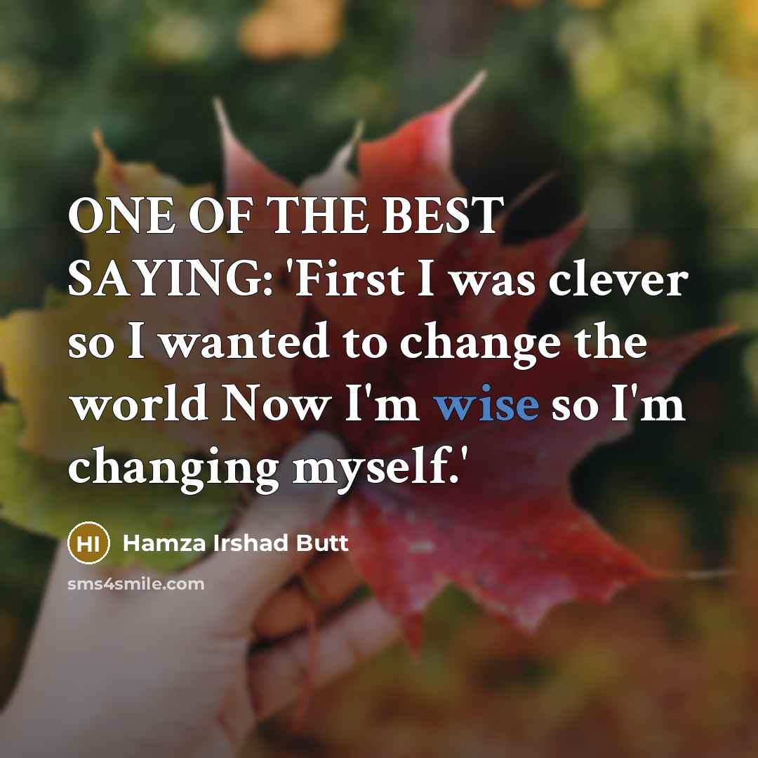 “ONE OF THE BEST SAYING: 'First I was clever so…” quote by Hamza Irshad Butt