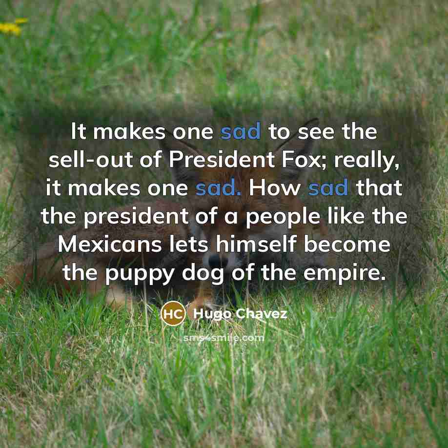 “It makes one sad to see the sell-out of President…” quote by Hugo Chavez